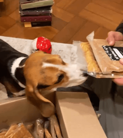 Sofía - Concepción