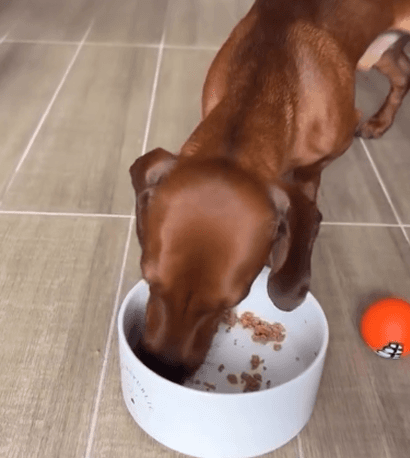 Martín - Valparaíso