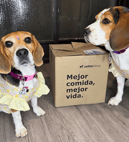 Paula - Puerto Varas