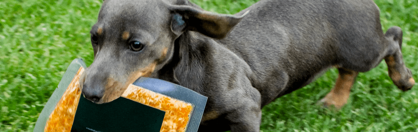 Comunidad BetterBites