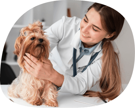 Nutricionista con su perro