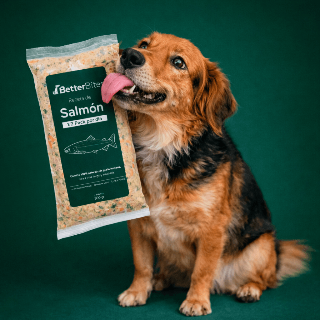Perro feliz con producto BetterBites de salmón